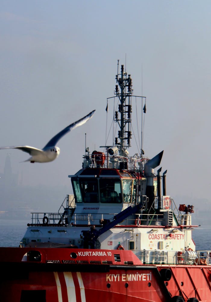 our-story Coast guard ship navigates ocean with seagull soaring nearby under clear blue sky.
